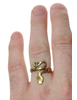 Mittelalter Ring Glaukos aus Messing in Frontansicht 5