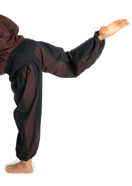 Mittelalter Hose Tristan in Schwarz-Braun Rückansicht 2