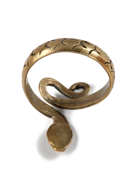 Mittelalter Ring Glaukos aus Messing in Rückansicht