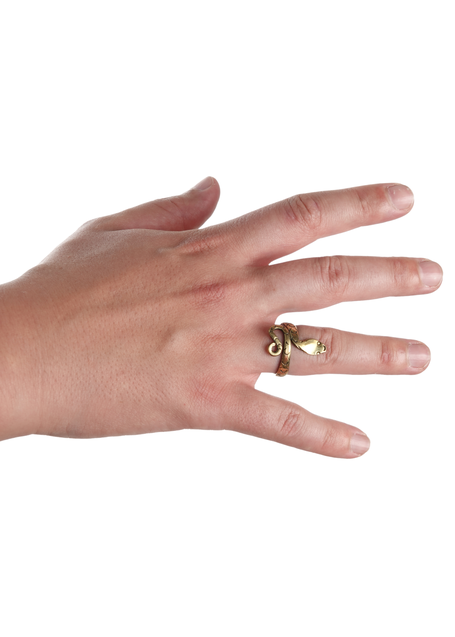 Mittelalter Ring Glaukos aus Messing in Frontansicht 3