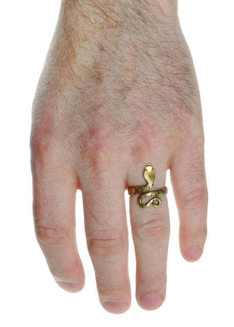 Mittelalter Ring Glaukos aus Messing in Frontansicht 4
