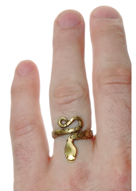 Mittelalter Ring Glaukos aus Messing in Frontansicht 5